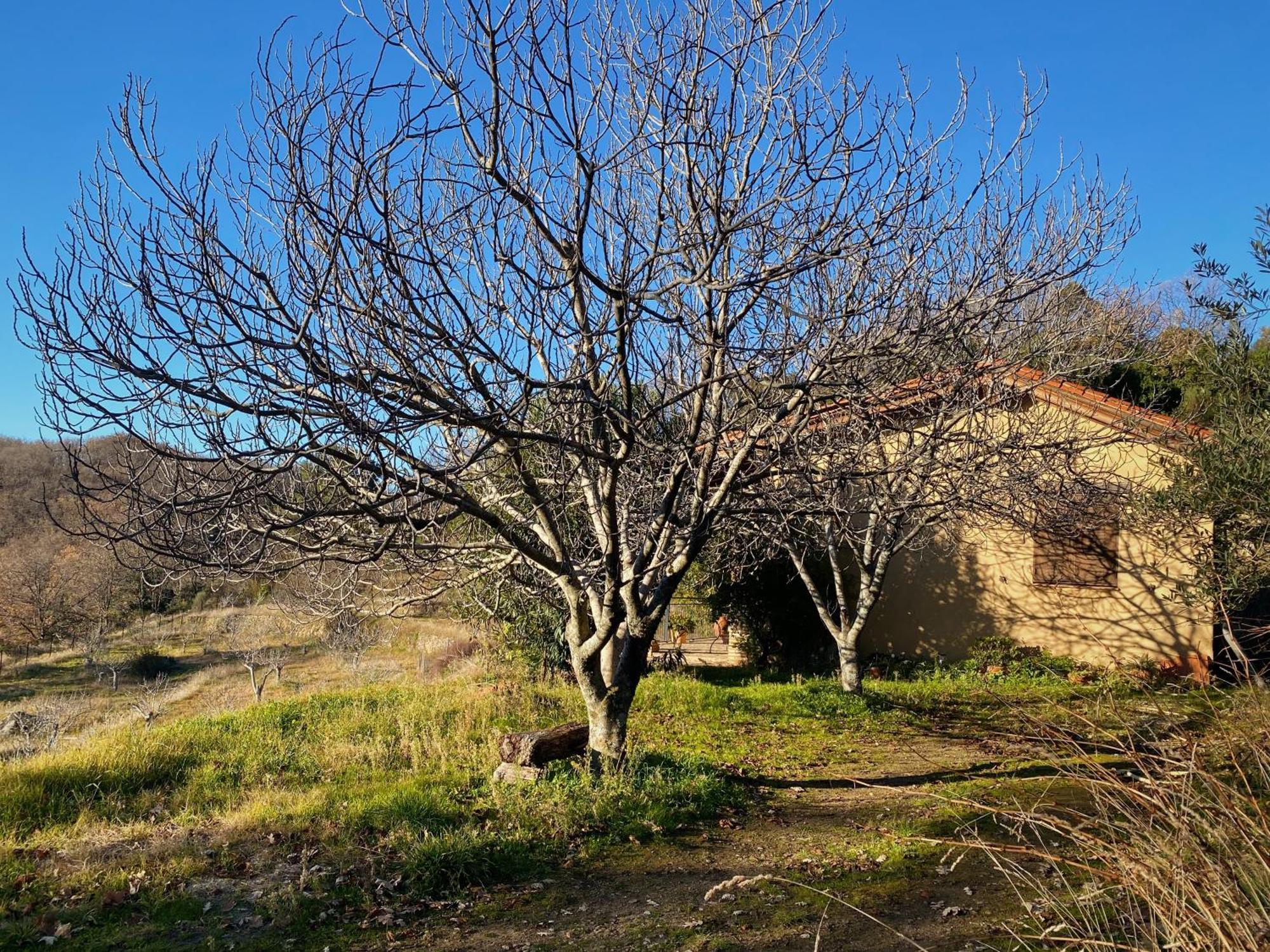 Vergel San Pedro Torremenga Exterior foto